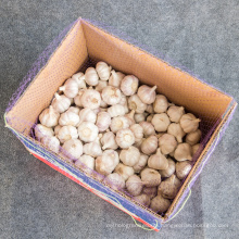 normal white garlic size4.5cm 10kg carton ghana price